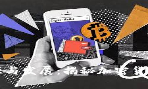 虚拟币的起源与发展:揭秘加密货币背后的故事