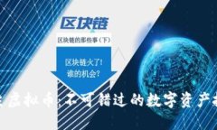 揭秘教主虚拟币：不可错
