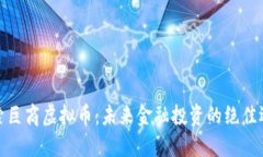 探索巨商虚拟币：未来金