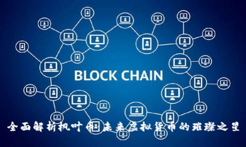 全面解析枫叶币:未来虚拟货币的璀璨之星