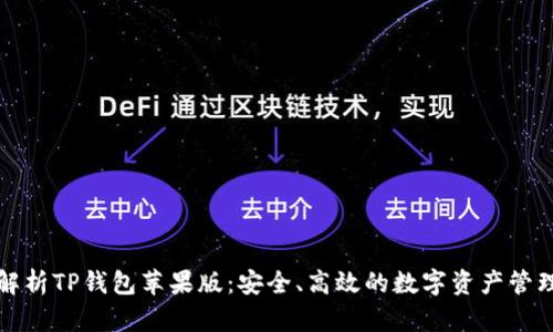 全面解析TP钱包苹果版：安全、高效的数字资产管理工具