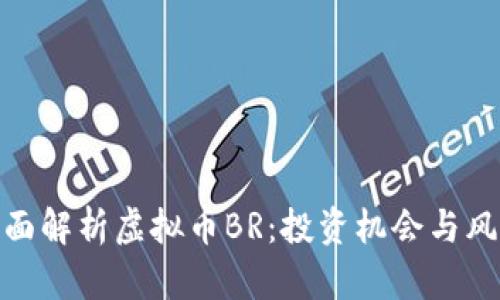 全面解析虚拟币BR:投资机会与风险