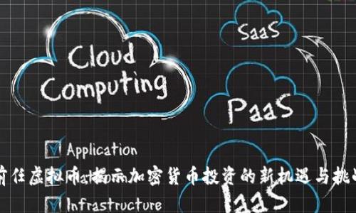 前任虚拟币:揭示加密货币投资的新机遇与挑战