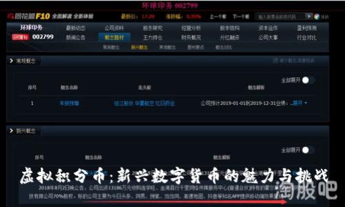 虚拟积分币：新兴数字货币的魅力与挑战