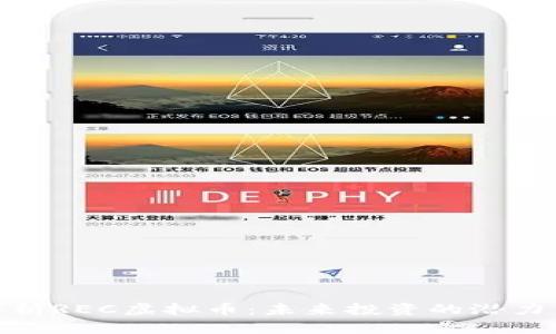 全面解析REC虚拟币：未来投资的潜力与风险