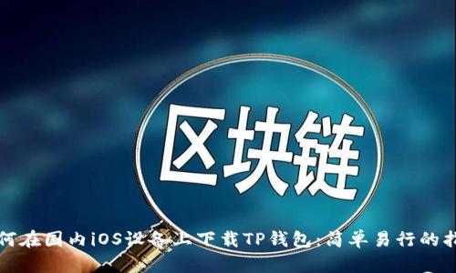 如何在国内iOS设备上下载TP钱包：简单易行的指南
