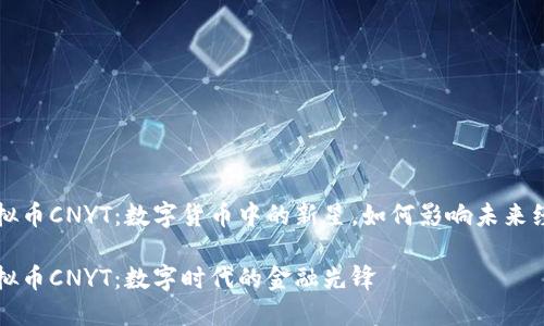 虚拟币CNYT：数字货币中的新星，如何影响未来经济

虚拟币CNYT：数字时代的金融先锋