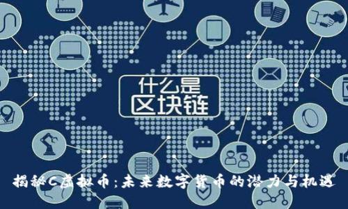 揭秘C虚拟币:未来数字货币的潜力与机遇