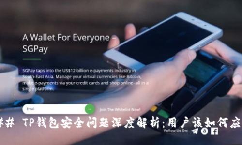 ### TP钱包安全问题深度解析:用户该如何应对?