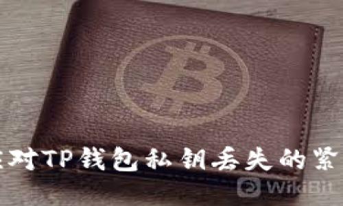 如何应对TP钱包私钥丢失的紧急指南