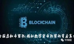 全国虚拟币罪犯：揭秘数