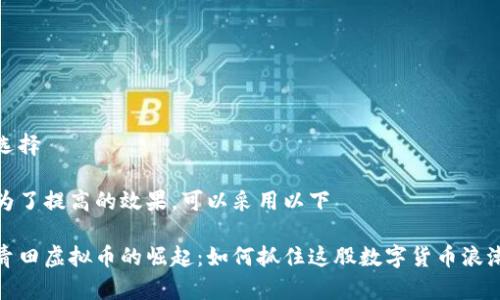 选择
为了提高的效果,可以采用以下
青田虚拟币的崛起:如何抓住这股数字货币浪潮