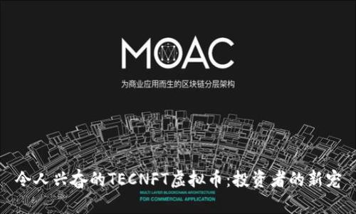 令人兴奋的TECNFT虚拟币：投资者的新宠