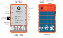 如何快速掌握TP钱包DApp开发的全面指南