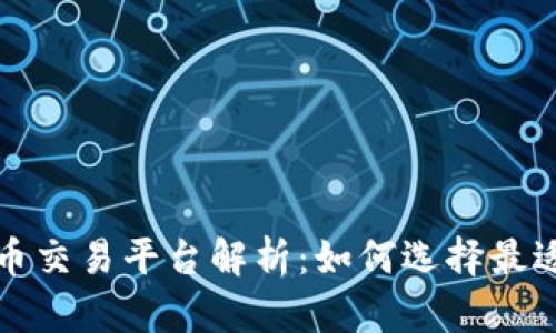 全球最大虚拟币交易平台解析:如何选择最适合的交易方式
