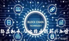 全面了解各种网络虚拟币