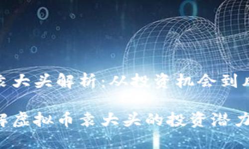 虚拟币袁大头解析：从投资机会到风险管控

如何了解虚拟币袁大头的投资潜力与风险