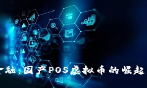 未来金融:国产POS虚拟币的崛起与发展