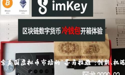 深入探索美国虚拟币市场的“喜马拉雅”:创新、机遇与挑战