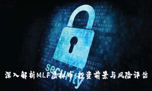 深入解析MLF虚拟币：投资前景与风险评估
