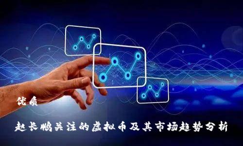 优质

赵长鹏关注的虚拟币及其市场趋势分析