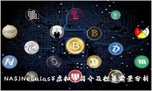NAS（Nebulas）虚拟币简介及投资前景分析