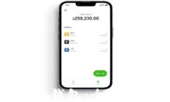 如何正确安装TP钱包：全面步骤指导与技巧